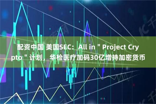 配资中国 美国SEC：All in＂Project Crypto＂计划，华检医疗加码30亿增持加密货币