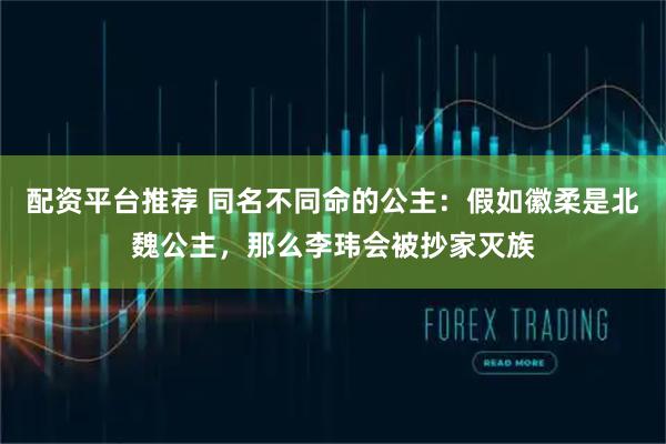 配资平台推荐 同名不同命的公主：假如徽柔是北魏公主，那么李玮会被抄家灭族